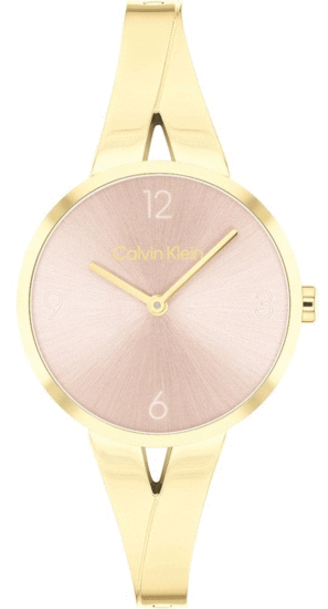 Calvin Klein Watch - Joyful 25100027