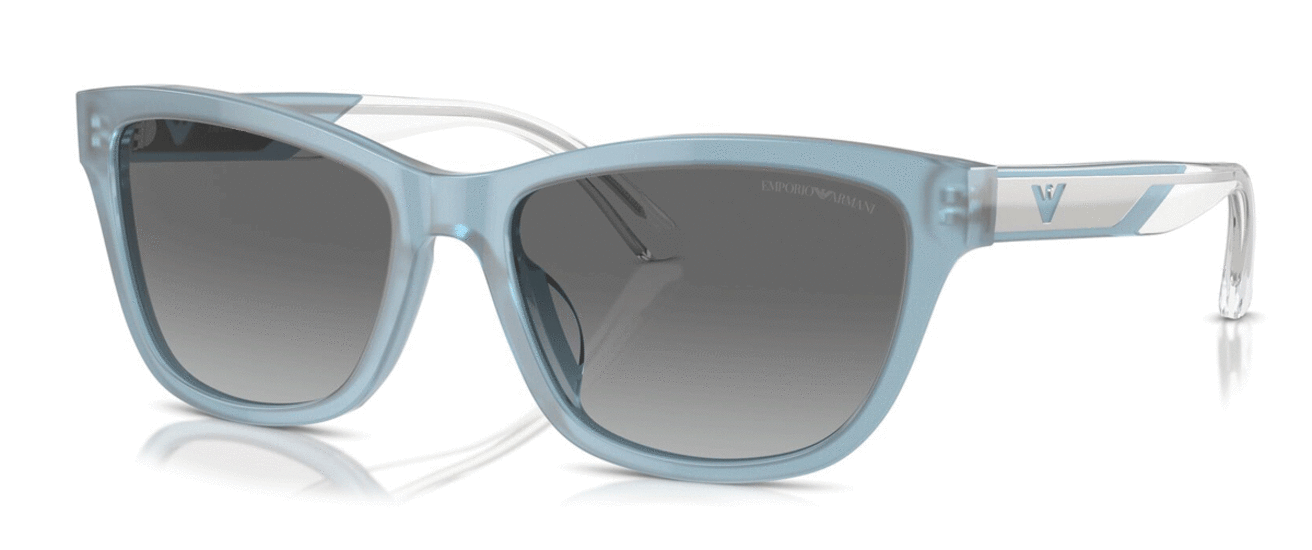 Emporio Armani Women’s Cat-Eye Sunglasses EA4227U 609611