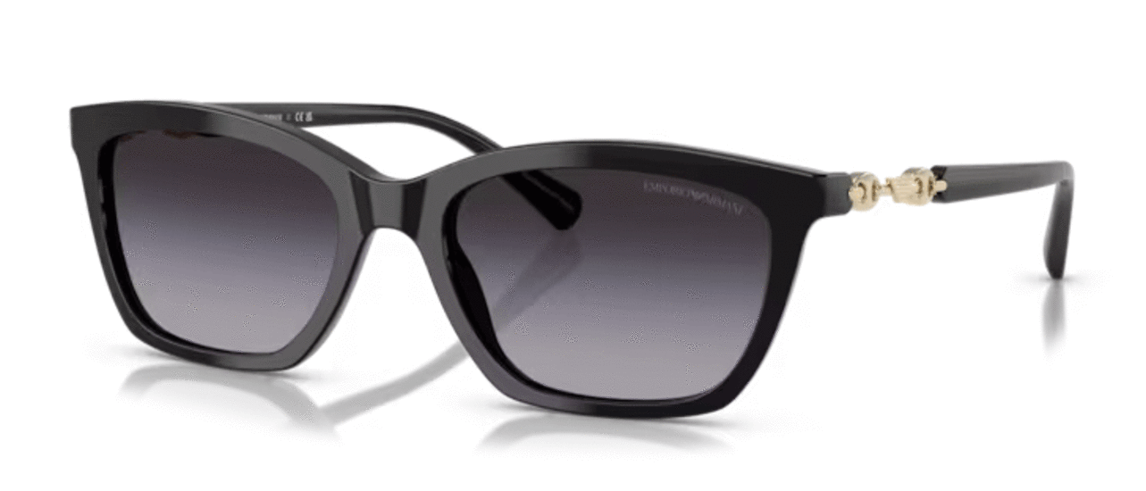 Emporio Armani Women’s Cat-Eye Sunglasses EA4238 50178G