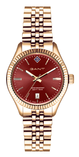 GANT G136021