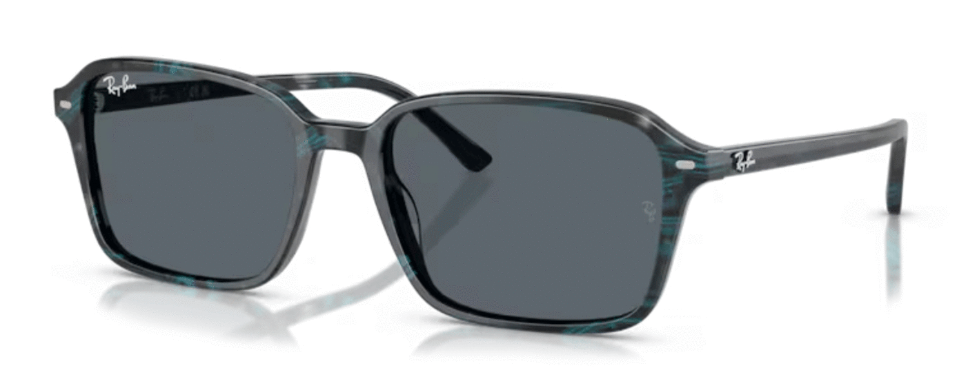 Ray-Ban Raimond RB2231 1417R5