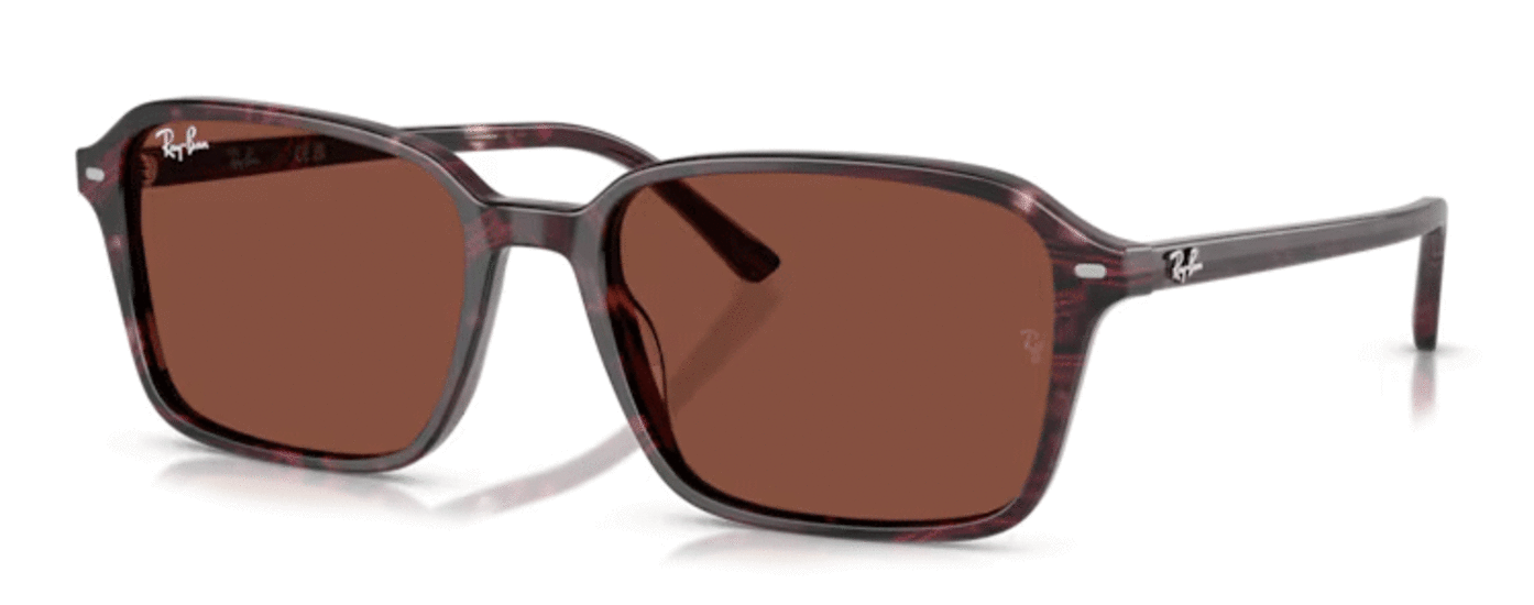 Ray-Ban Raimond RB2231 1416C5