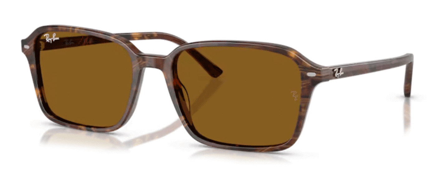 Ray-Ban Raimond RB2231 141833