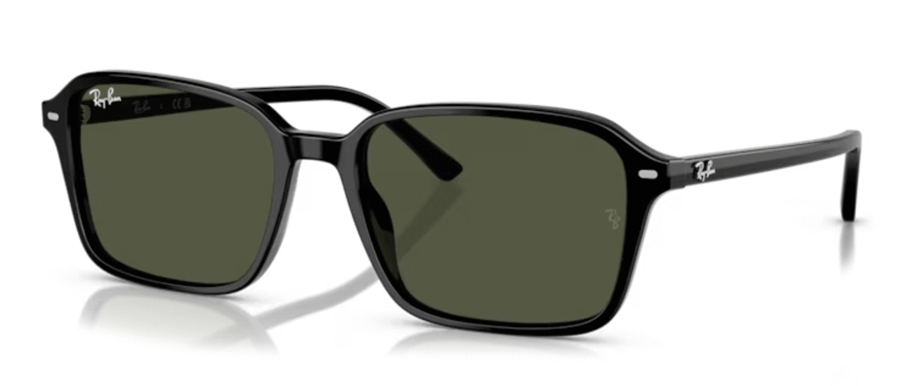 Ray-Ban Raimond RB2231 901/31