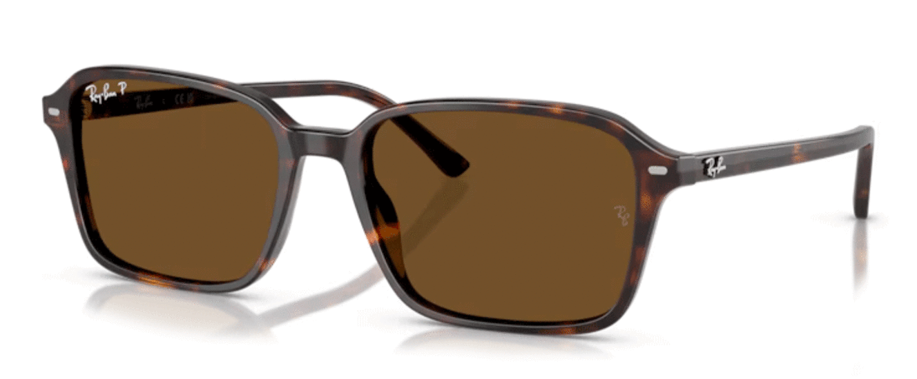 Ray-Ban Raimond RB2231 902/57