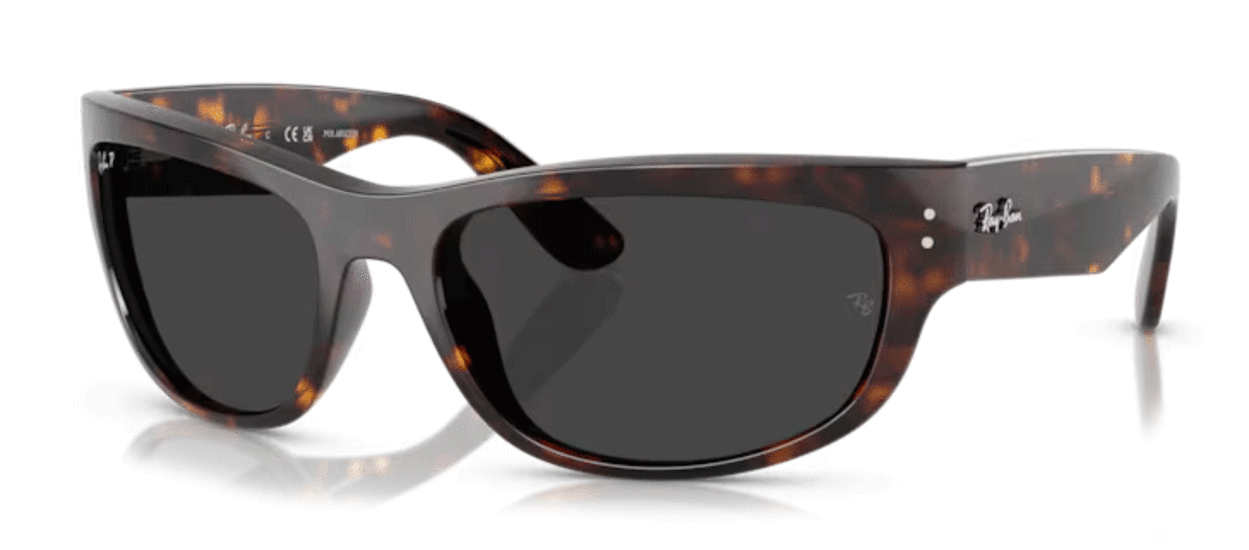 Ray-Ban Mega Balorama RB2289 902/48