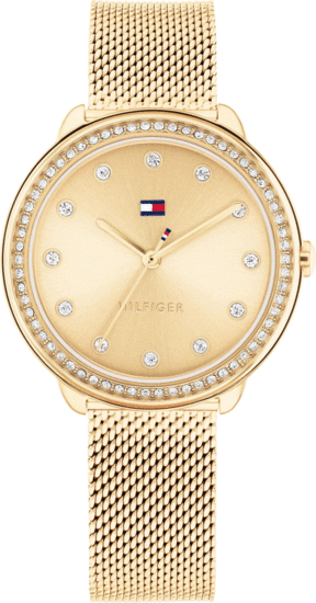 TOMMY HILFIGER DEMI 1782699