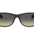 Ray-Ban New Wayfarer RB2132 894/76