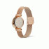 Daniel Wellington Petite Lune Melrose DW00100773