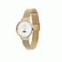 Daniel Wellington Petite Lune Evergold DW00100771