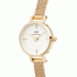 Daniel Wellington Petite Mini Evergold DW00100745