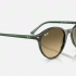 Ray-Ban Bernard RB2230 14210A