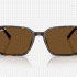 Ray-Ban Raimond RB2231 902/57